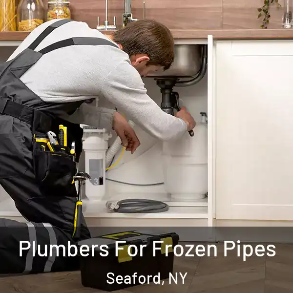  Plumbers For Frozen Pipes Seaford, NY